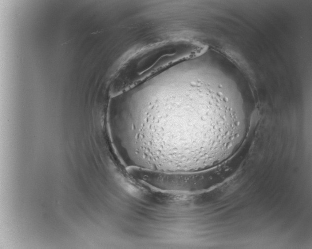 X0000080130060200612302047