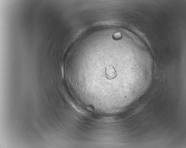 X0000080130061200612302047