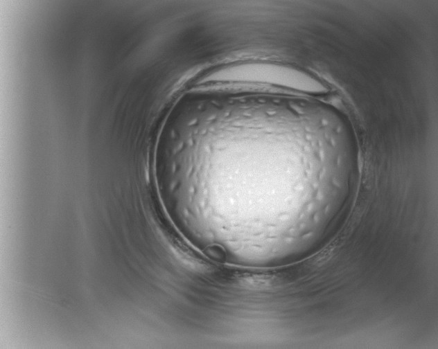 X0000080130062200612302047