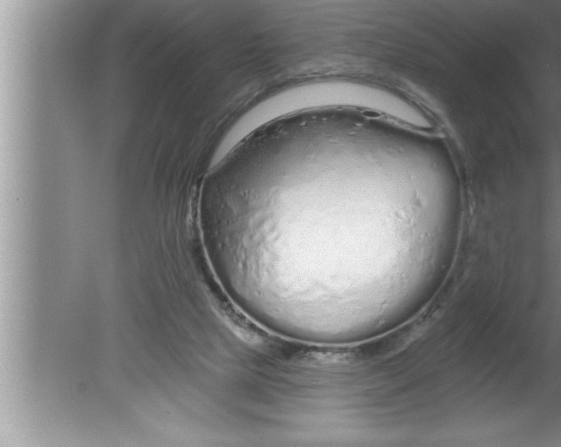 X0000080130065200612302047