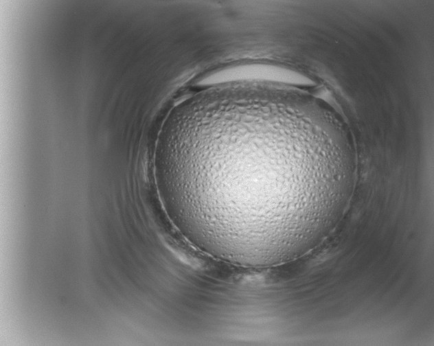 X0000080130068200612302047