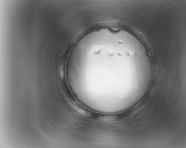 X0000080130069200612302047