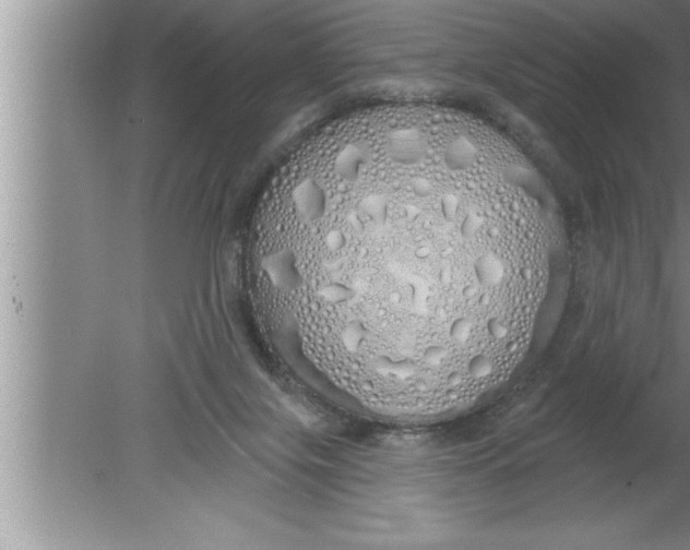 X0000080130071200612302047