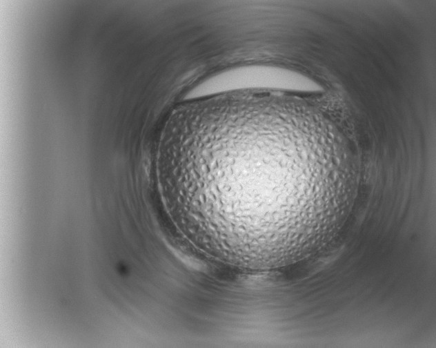 X0000080130072200612302047