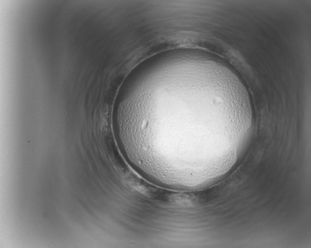 X0000080130073200612302047