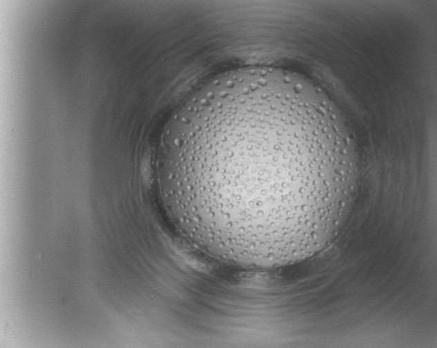 X0000080130074200612302047