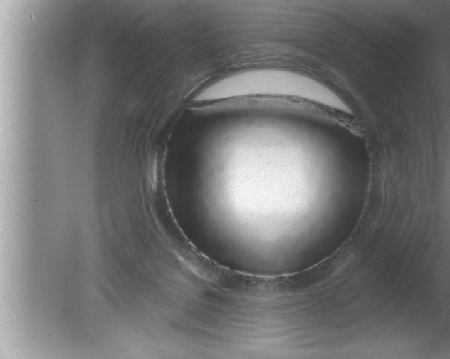 X0000080130076200612302047