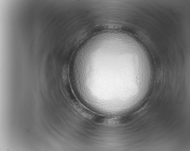 X0000080130078200612302047