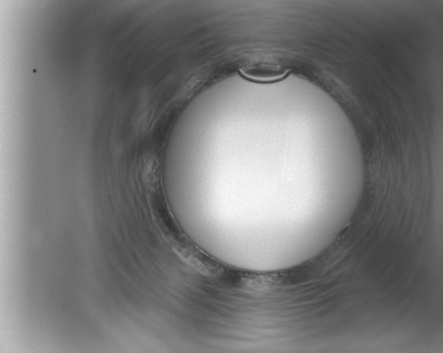 X0000080130079200612302047