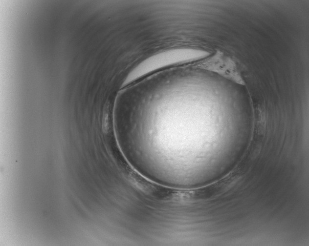 X0000080130080200612302047