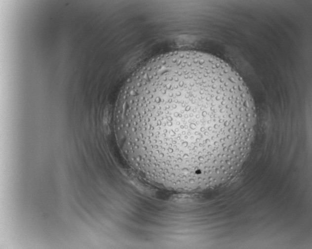 X0000080130082200612302047