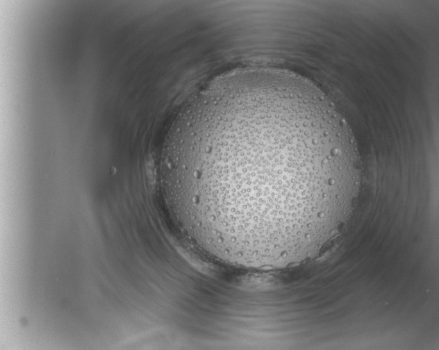 X0000080130086200612302047