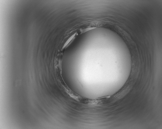 X0000080130096200612302047