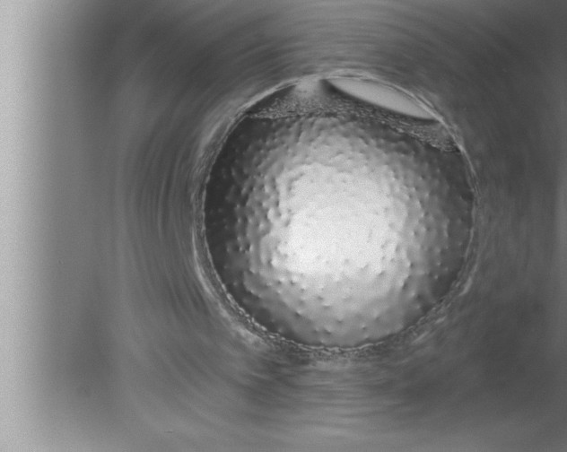 X0000080130097200612302046