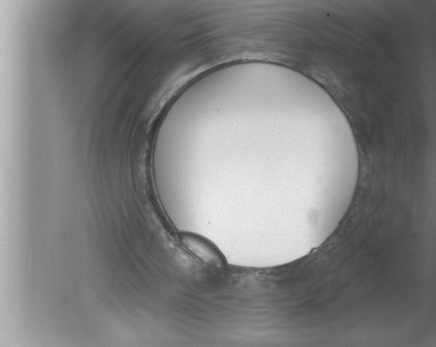 X0000080130098200612302046