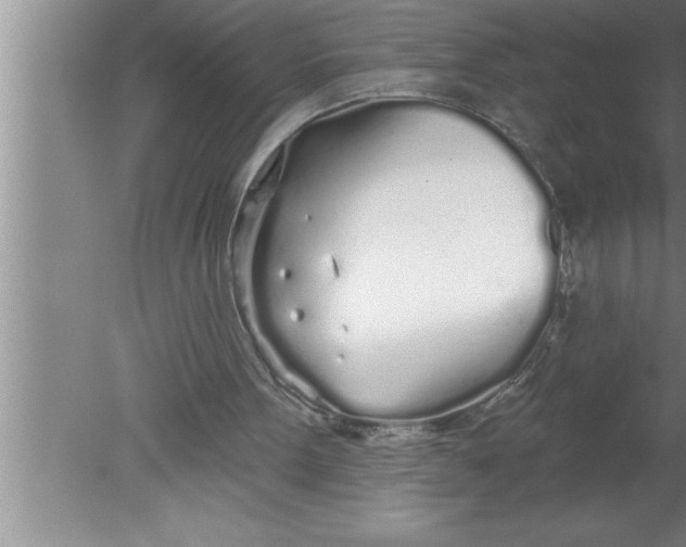 X0000080130099200612302046