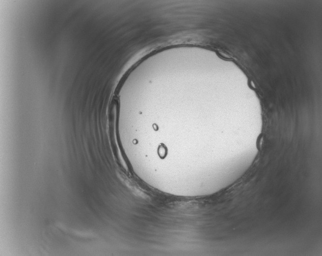 X0000080130100200612302046