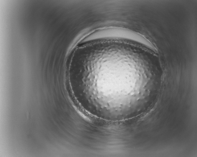 X0000080130101200612302046