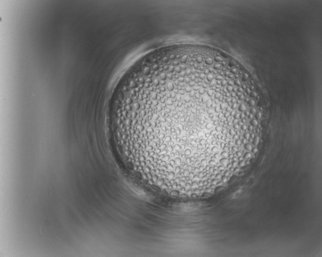 X0000080130103200612302046