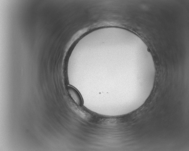 X0000080130104200612302046