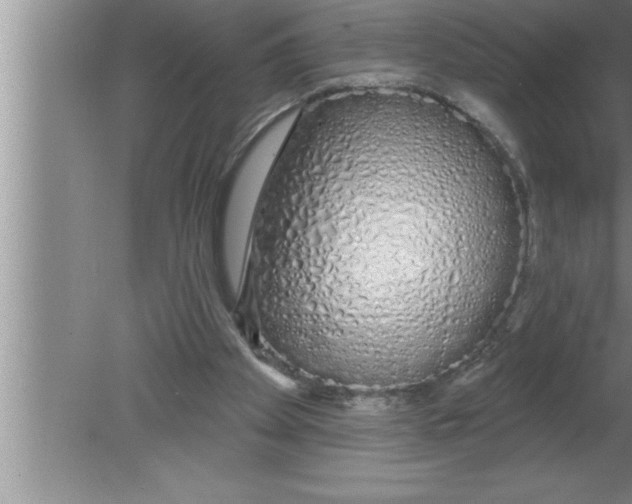 X0000080130105200612302046