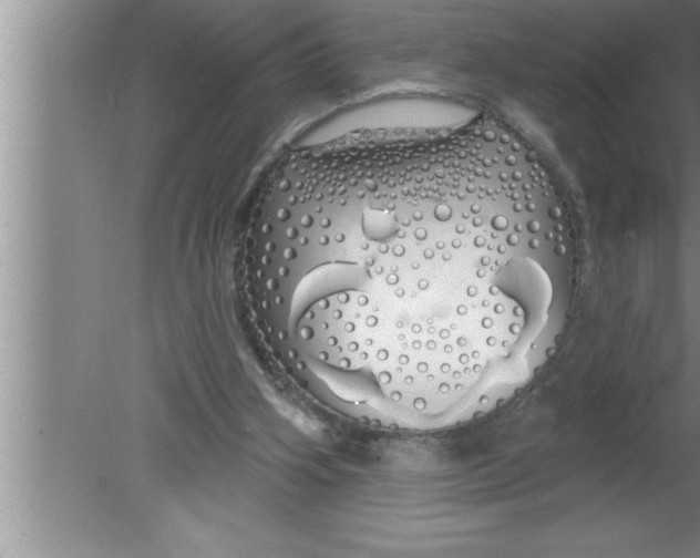 X0000080130106200612302046