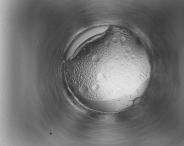 X0000080130107200612302046