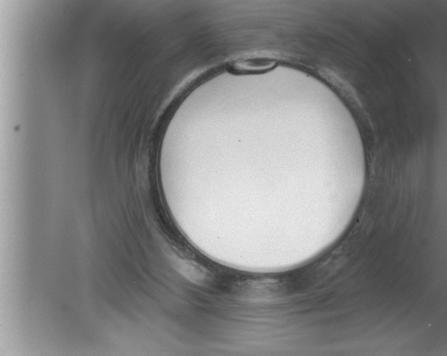 X0000080130108200612302046