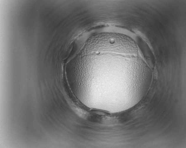 X0000080130109200612302046