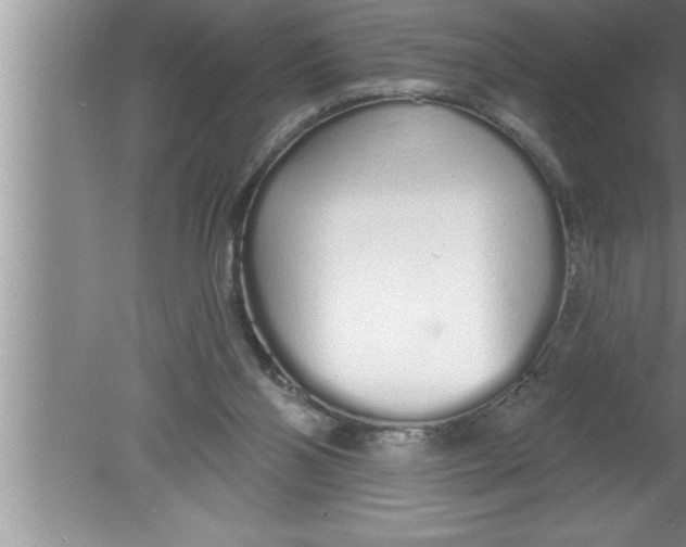 X0000080130110200612302046