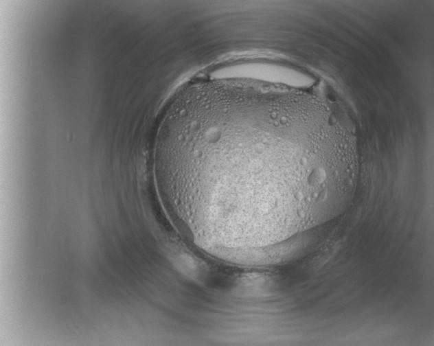 X0000080130111200612302046