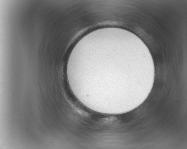 X0000080130112200612302046