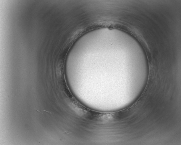 X0000080130114200612302046