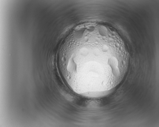 X0000080130115200612302046