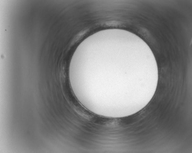 X0000080130116200612302046