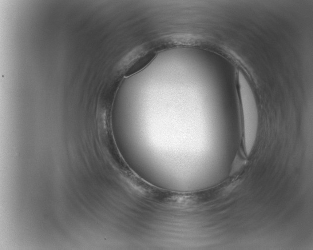 X0000080130117200612302046