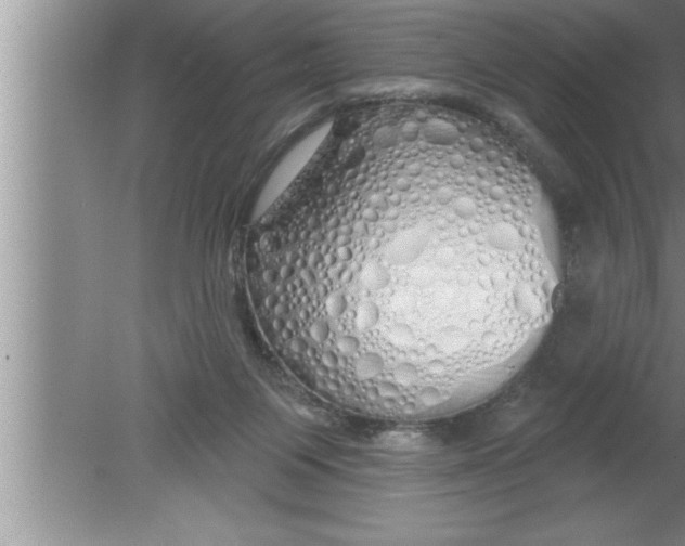 X0000080130119200612302046