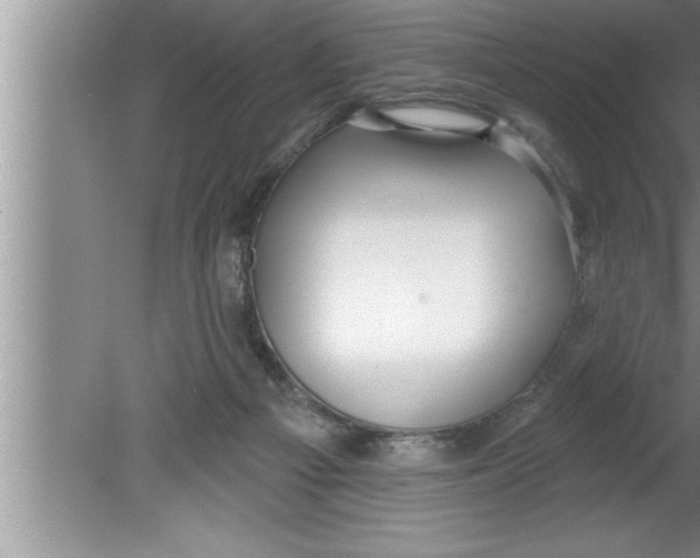 X0000080130121200612302046