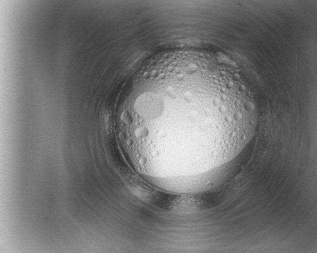 X0000080130123200612302046