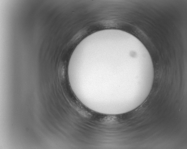 X0000080130124200612302046