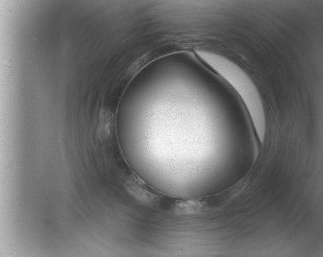 X0000080130125200612302046