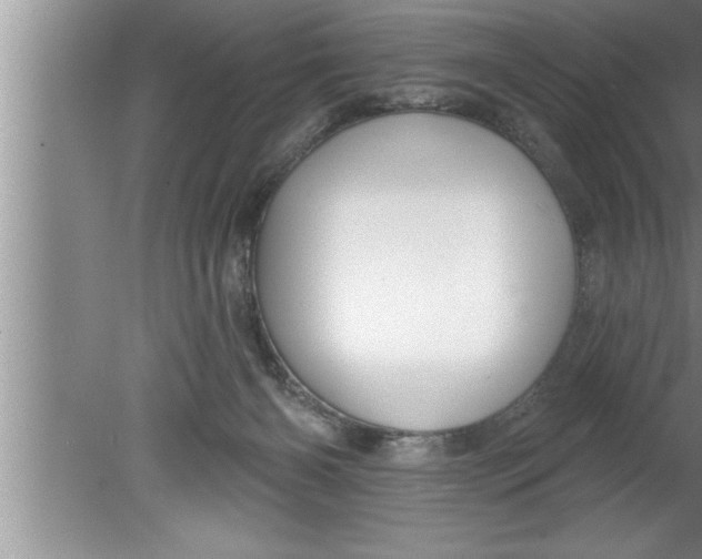 X0000080130126200612302046