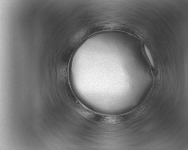 X0000080130127200612302046