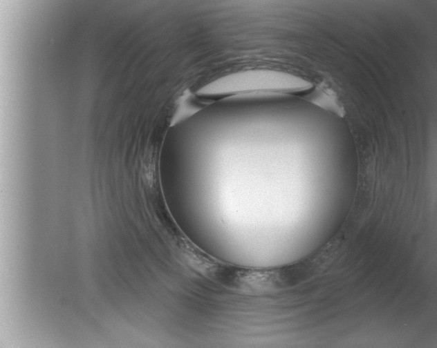 X0000080130129200612302046