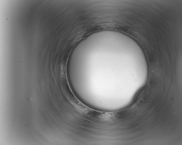 X0000080130130200612302046