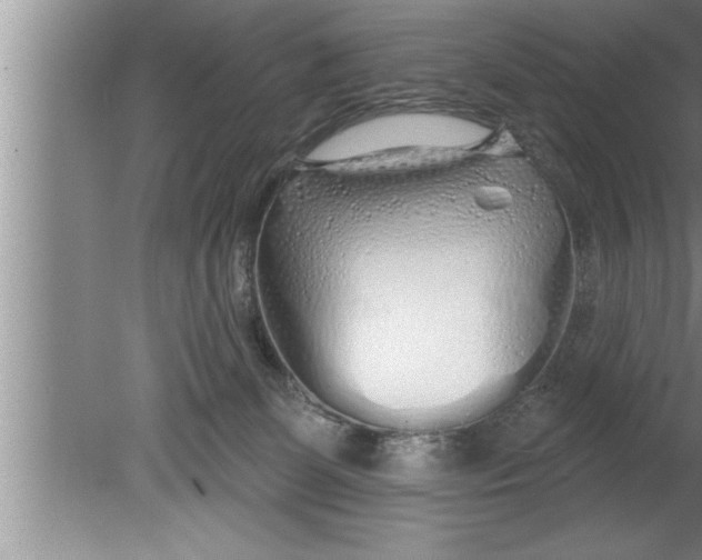 X0000080130131200612302046