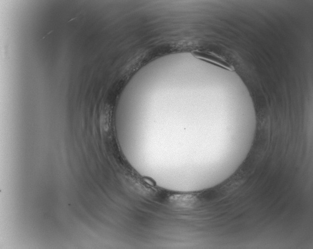 X0000080130133200612302046