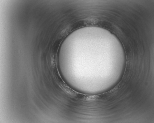 X0000080130134200612302046