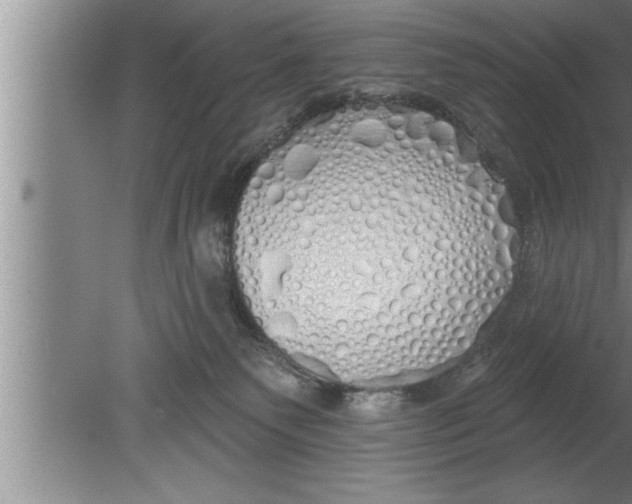 X0000080130135200612302046