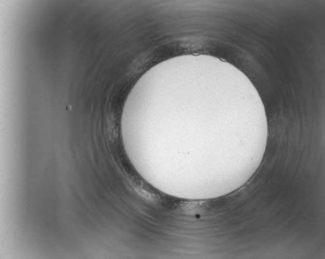 X0000080130136200612302046